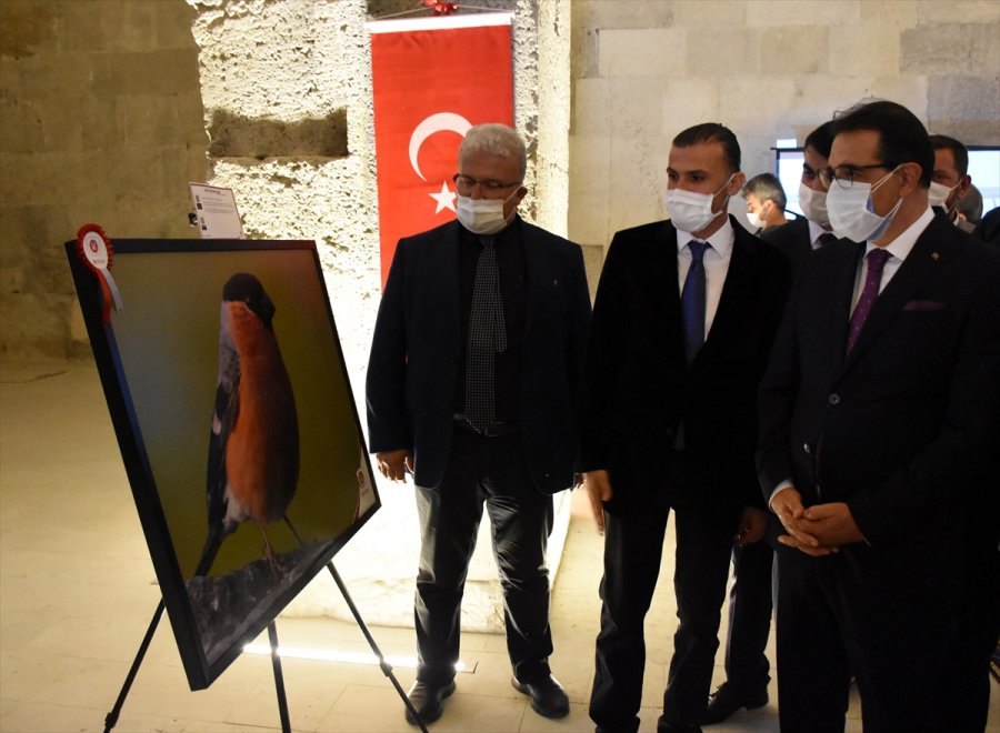 Enerji Ve Tabii Kaynaklar Bakanı Dönmez, Aksaray'da: