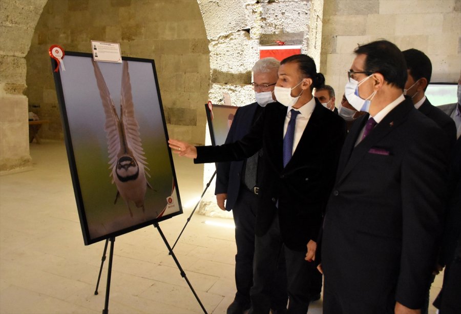 Enerji Ve Tabii Kaynaklar Bakanı Dönmez, Aksaray'da: