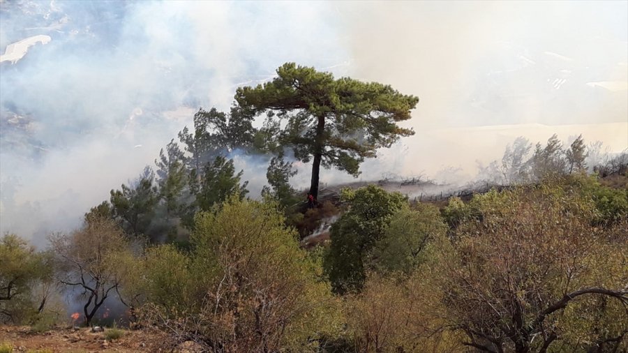 Güncelleme 2 - Mersin'de Çıkan Orman Yangınına Müdahale Ediliyor