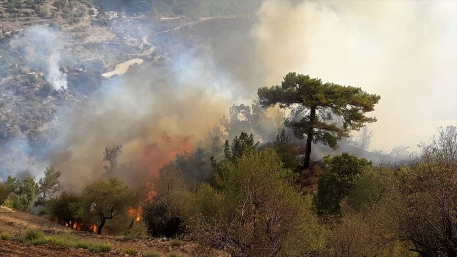 Güncelleme 2 - Mersin'de Çıkan Orman Yangınına Müdahale Ediliyor