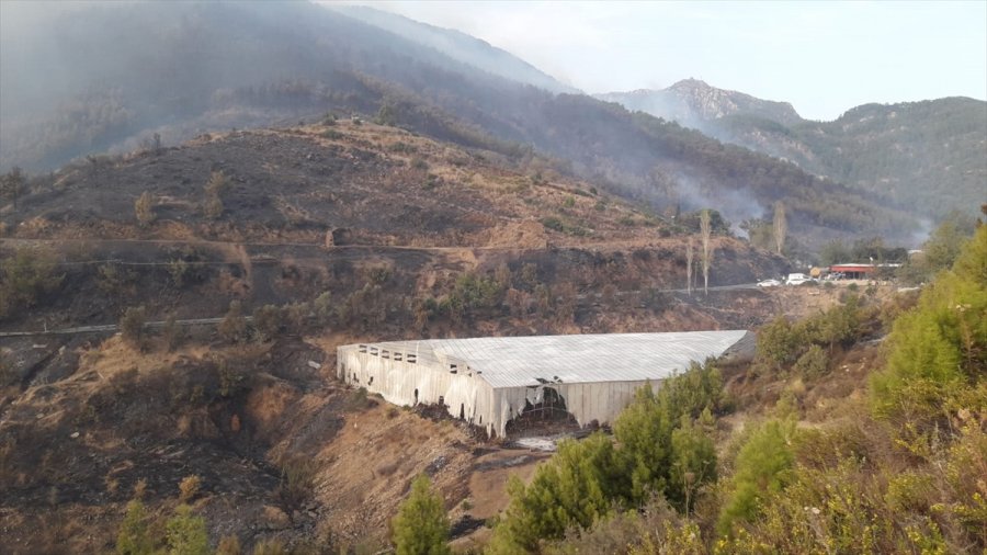 Güncelleme 3 - Mersin'de Çıkan Orman Yangınına Müdahale Ediliyor