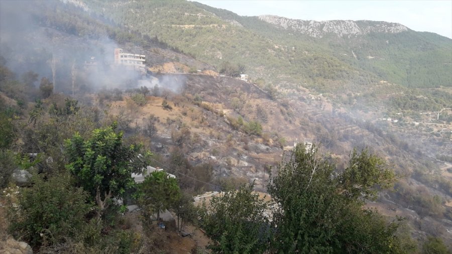 Güncelleme 3 - Mersin'de Çıkan Orman Yangınına Müdahale Ediliyor
