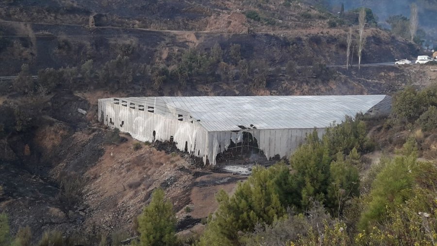 Güncelleme 5 - Mersin'de Çıkan Orman Yangınına Müdahale Ediliyor