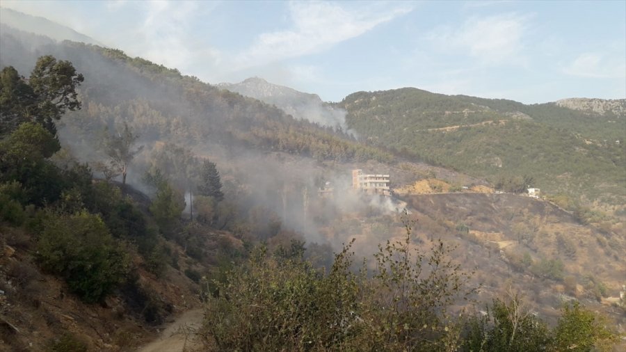 Güncelleme 5 - Mersin'de Çıkan Orman Yangınına Müdahale Ediliyor