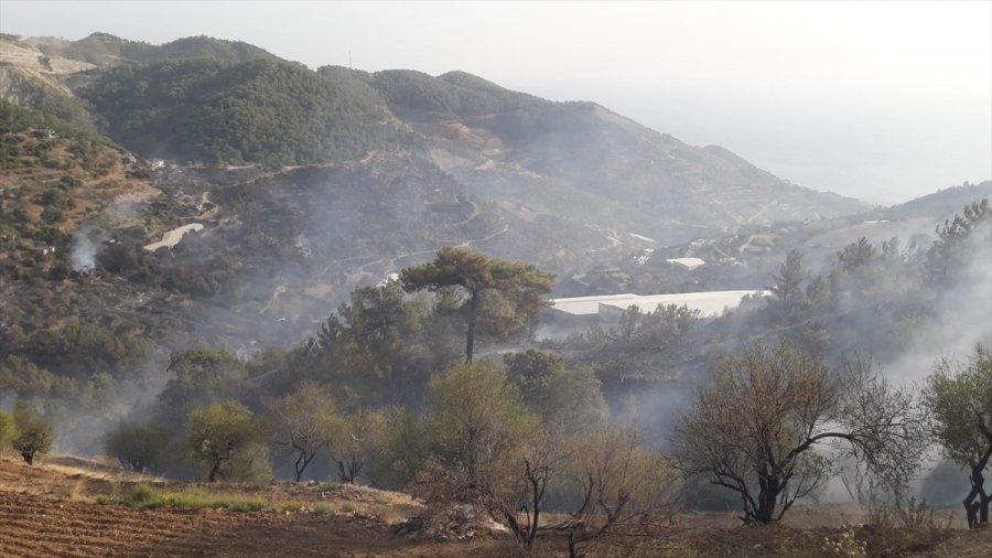 Güncelleme 5 - Mersin'de Çıkan Orman Yangınına Müdahale Ediliyor