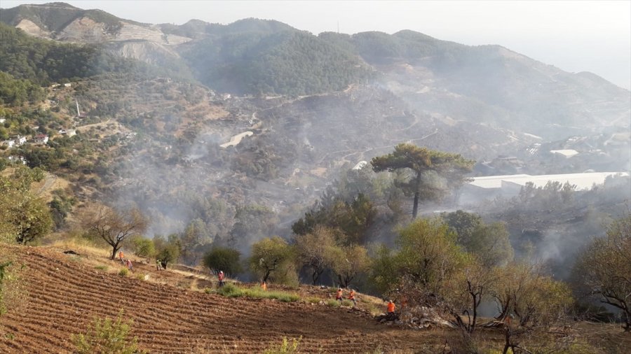 Güncelleme 5 - Mersin'de Çıkan Orman Yangınına Müdahale Ediliyor
