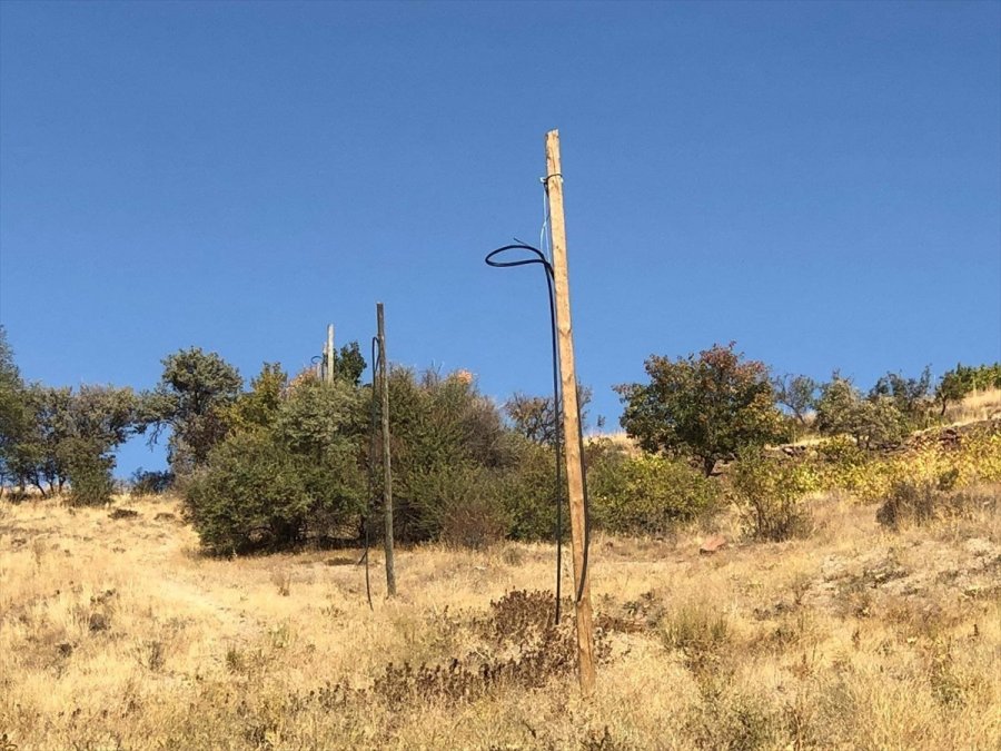 Tomarza'dan Kısa Kısa