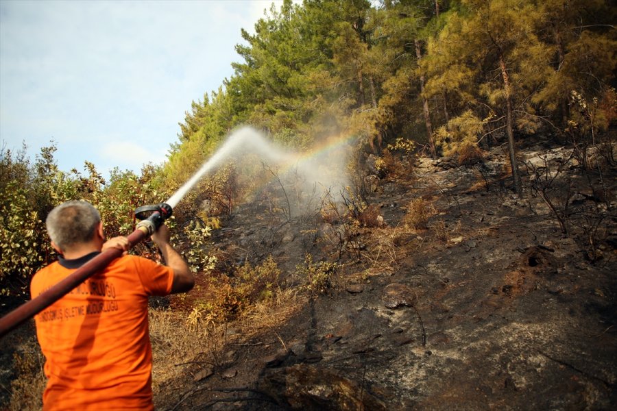 Anamur'daki Orman Yangını Bölgesinde Soğutma Çalışmaları Sürüyor