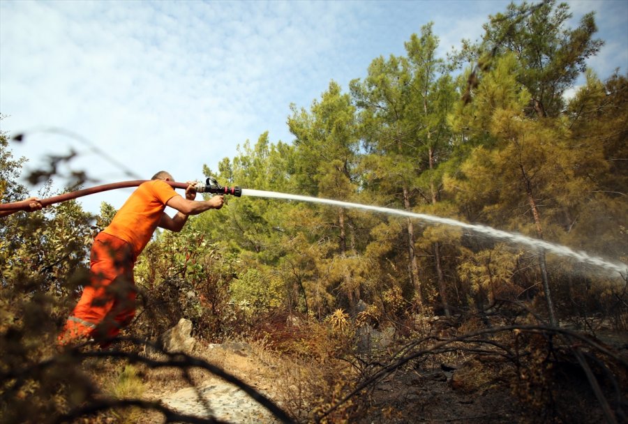 Anamur'daki Orman Yangını Bölgesinde Soğutma Çalışmaları Sürüyor