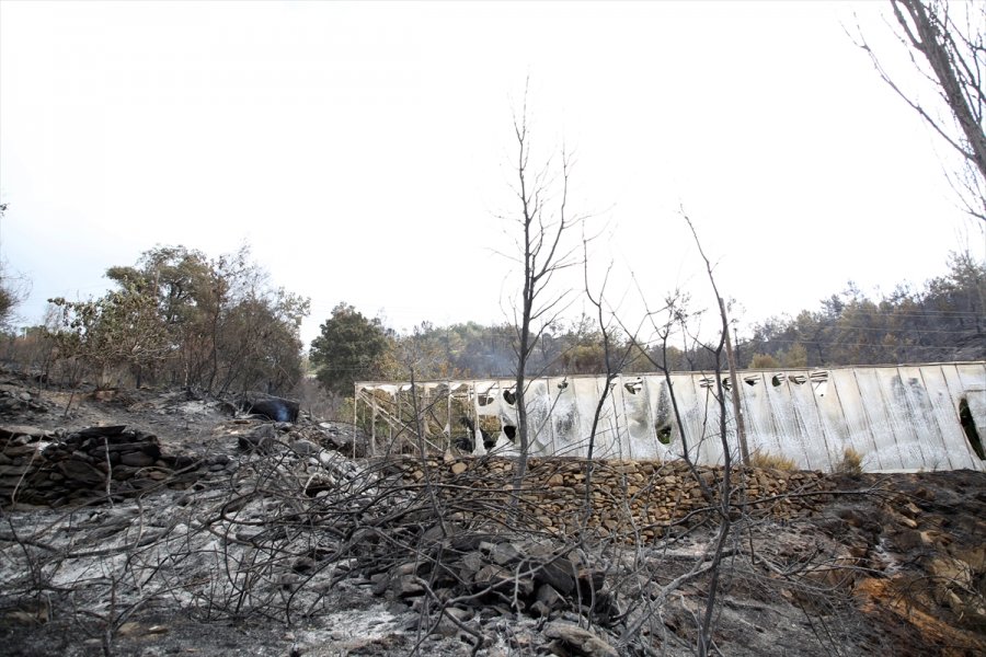 Anamur'daki Yangından Etkilenen Vatandaşlar Yaşadıklarını Anlattı