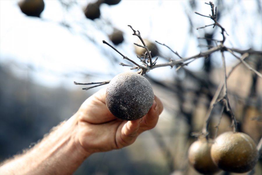 Anamur'daki Yangından Etkilenen Vatandaşlar Yaşadıklarını Anlattı