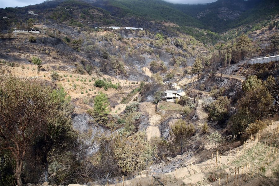 Anamur'daki Yangından Etkilenen Vatandaşlar Yaşadıklarını Anlattı