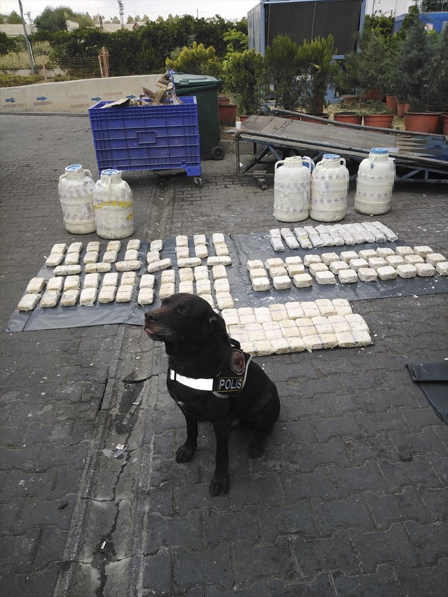 Ankara'da Son Bir Ayda 