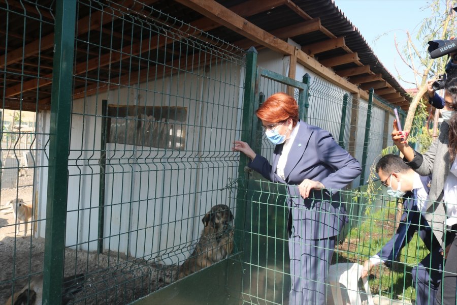 İyi Parti Genel Başkanı Akşener'den, Patiliköy'e Ziyaret