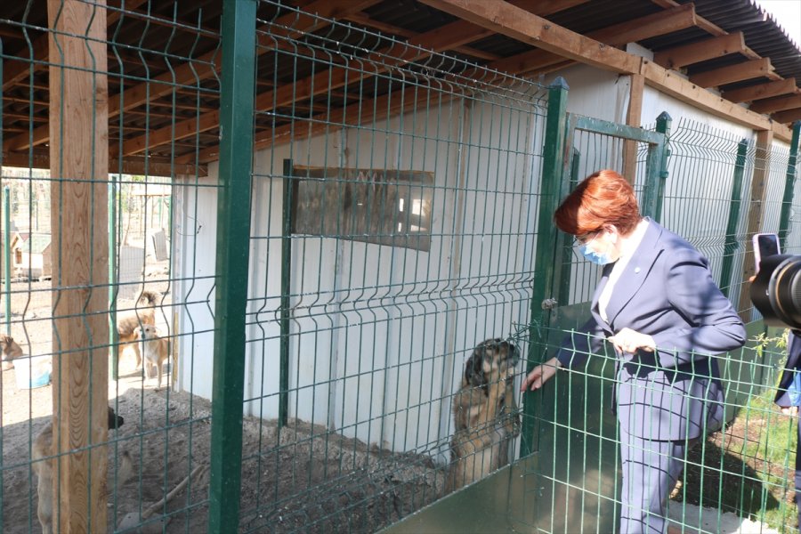 İyi Parti Genel Başkanı Akşener'den, Patiliköy'e Ziyaret
