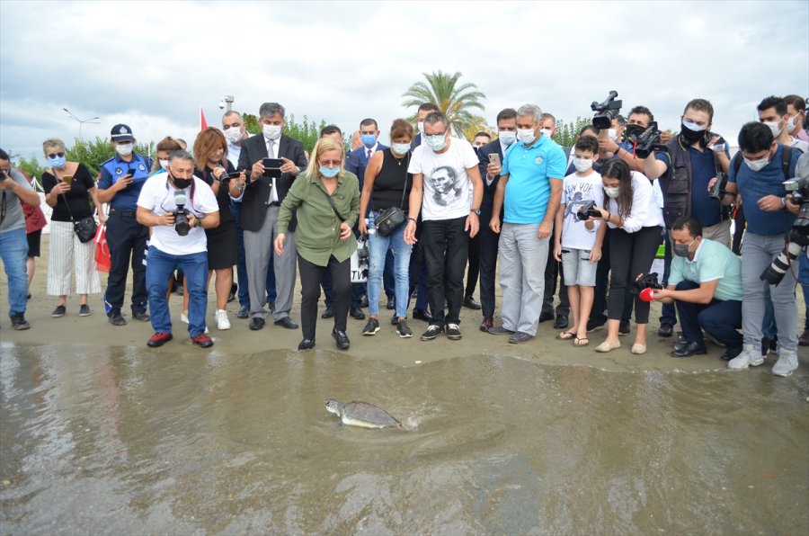 Antalya'da Tedavisi Tamamlanan Yeşil Deniz Kaplumbağası Denize Bırakıldı