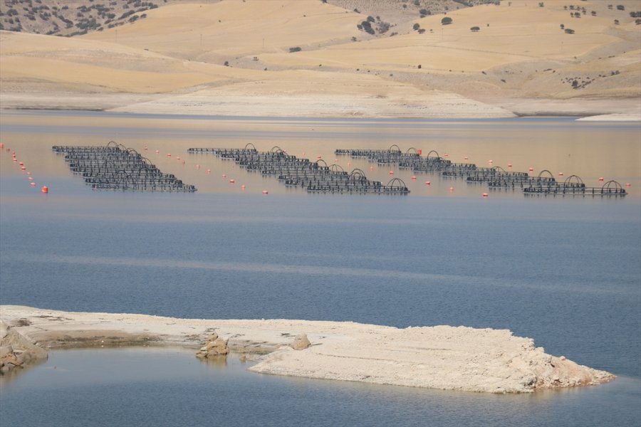 İnternetten Alışverişte Siparişten Farklı Ürünün Bedeli Kargo Şirketinden Tahsil Edilebiliyor