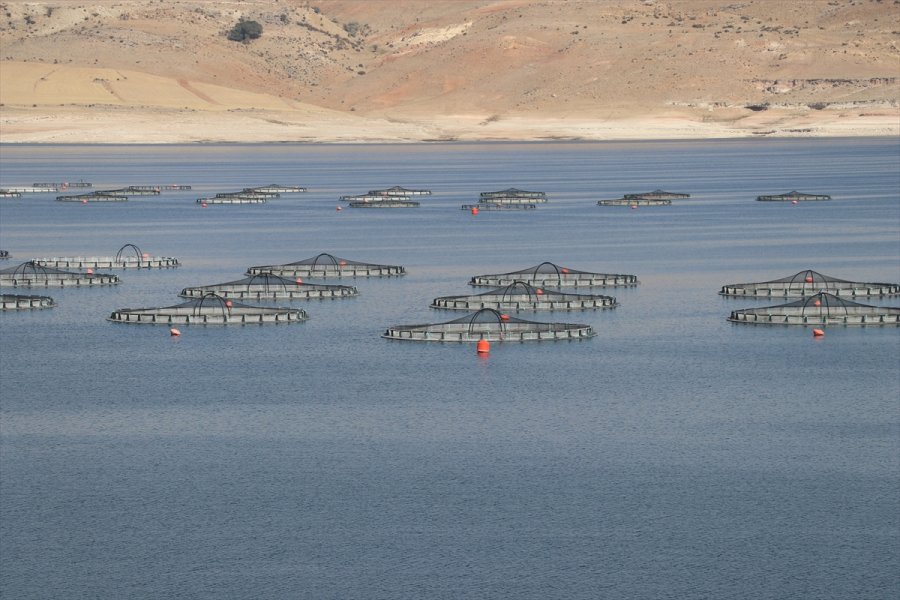 İnternetten Alışverişte Siparişten Farklı Ürünün Bedeli Kargo Şirketinden Tahsil Edilebiliyor