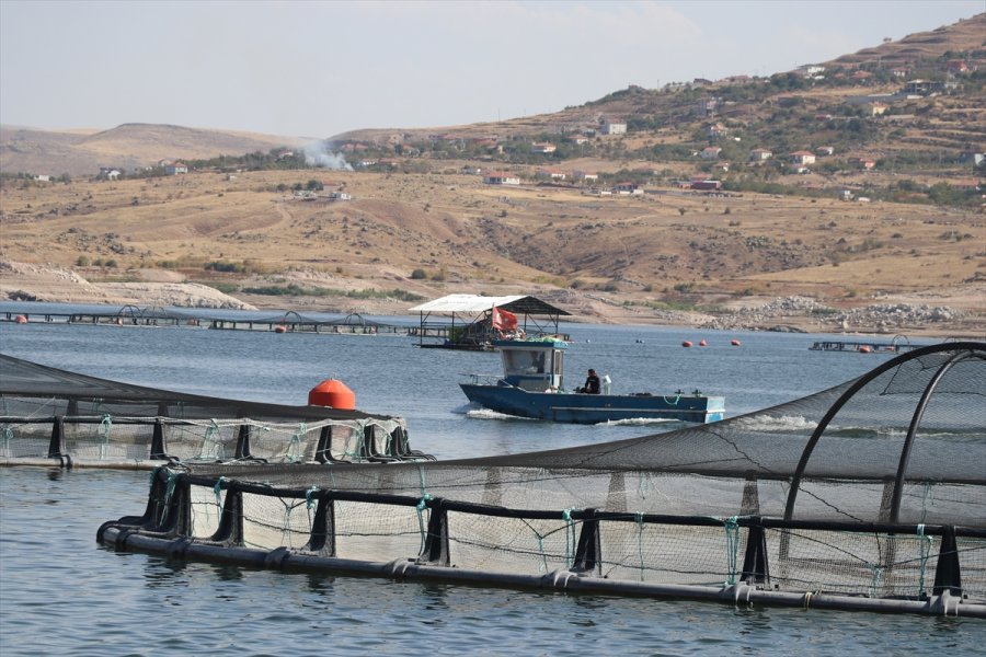 İnternetten Alışverişte Siparişten Farklı Ürünün Bedeli Kargo Şirketinden Tahsil Edilebiliyor