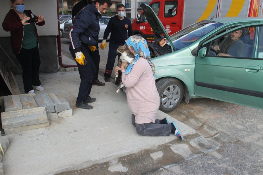 Konya'da Girdiği Otomobilin Motor Bölümünde Mahsur Kalan Kediyi İtfaiye Ekipleri Kurtardı