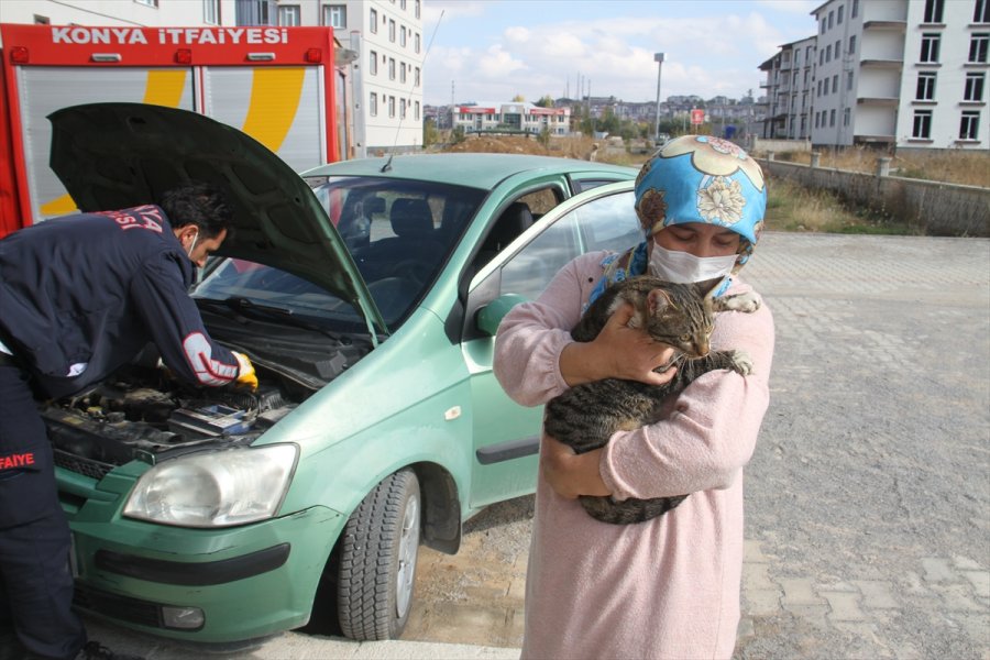Konya'da Girdiği Otomobilin Motor Bölümünde Mahsur Kalan Kediyi İtfaiye Ekipleri Kurtardı