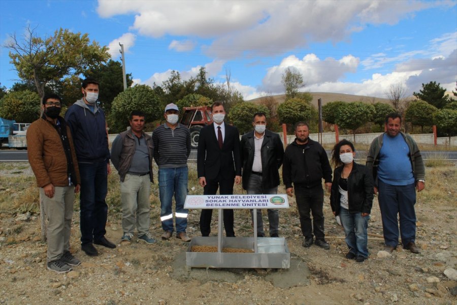 Yunak'ta Sokak Hayvanları İçin Beslenme Noktaları Oluşturuldu
