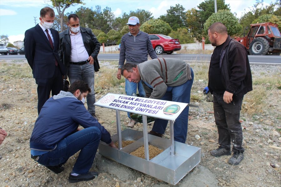 Yunak'ta Sokak Hayvanları İçin Beslenme Noktaları Oluşturuldu