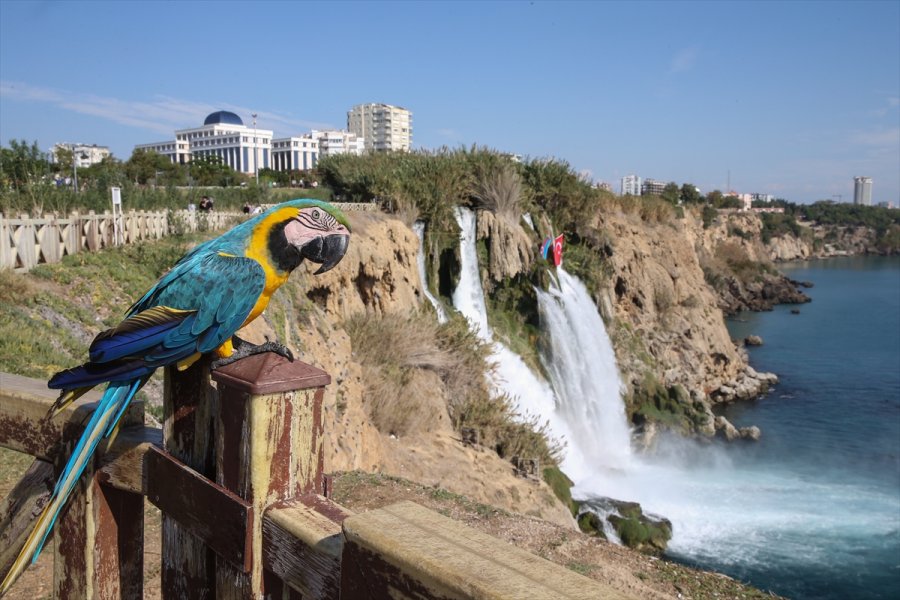 Antalya'da Dağcılar Şelaleye Türkiye Ve Azerbaycan Bayrakları Astı