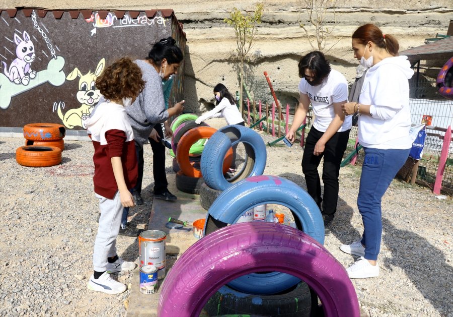 Kayseri'de Hurda Otomobil Lastiklerinden Kediler İçin Yuva Yaptılar