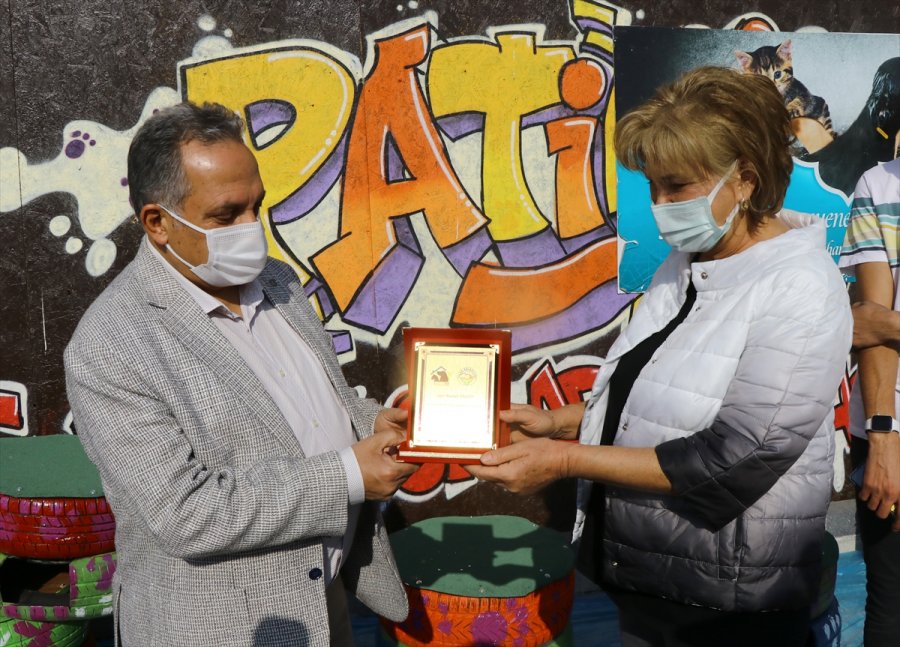 Kayseri'de Hurda Otomobil Lastiklerinden Kediler İçin Yuva Yaptılar