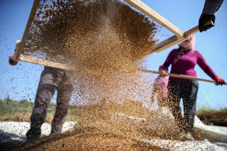 Osmanlı'da Saray Sofralarını Süsleyen