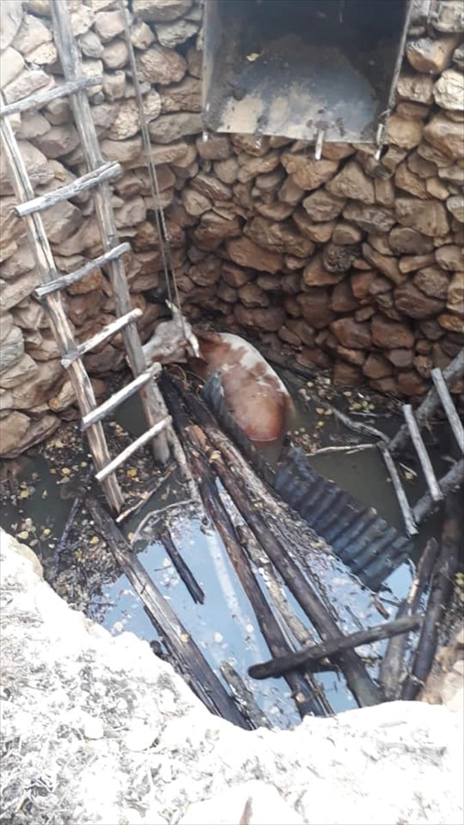 Konya'da Üzeri Açık Kuyuya Düşen İnek İtfaiye Ekiplerince Kurtarıldı