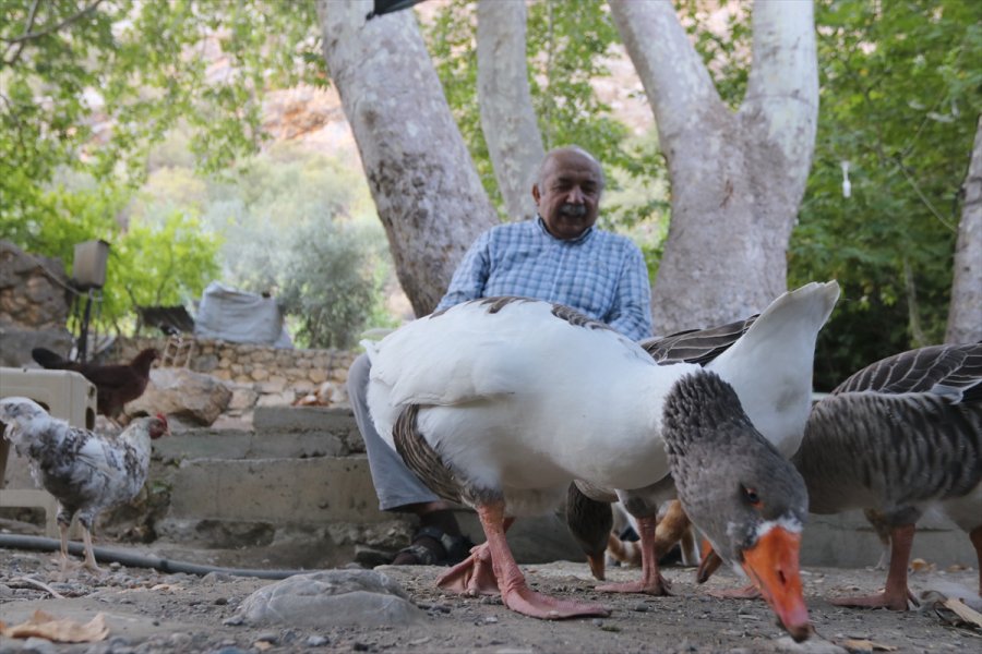 Emekli Mühendis, Araştırma İçin Geldiği Köyden 15 Yıldır Ayrılamıyor