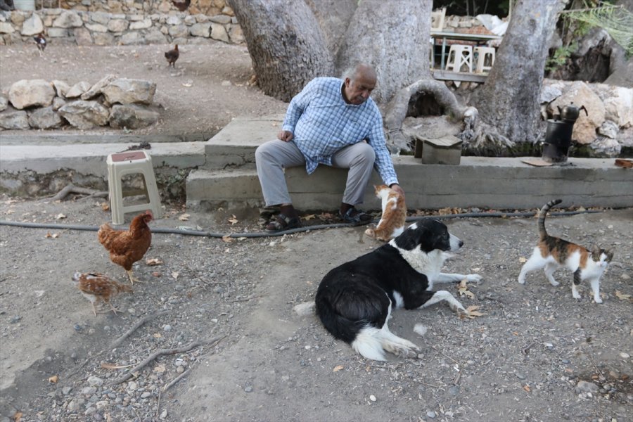 Emekli Mühendis, Araştırma İçin Geldiği Köyden 15 Yıldır Ayrılamıyor