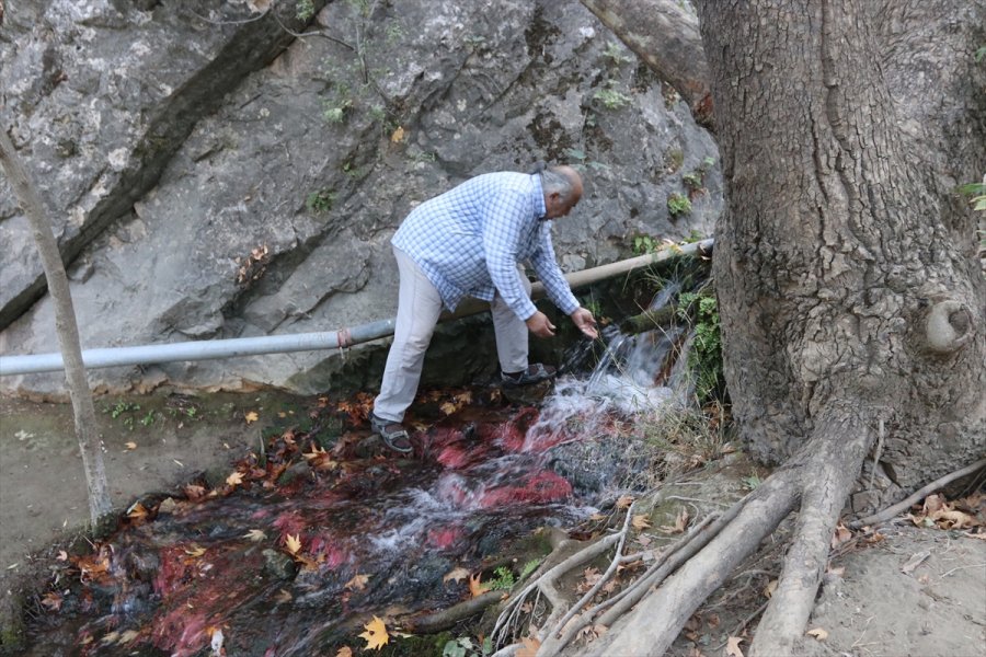 Emekli Mühendis, Araştırma İçin Geldiği Köyden 15 Yıldır Ayrılamıyor