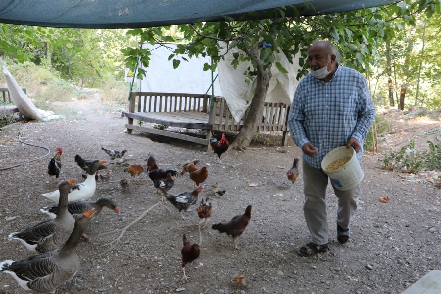 Emekli Mühendis, Araştırma İçin Geldiği Köyden 15 Yıldır Ayrılamıyor