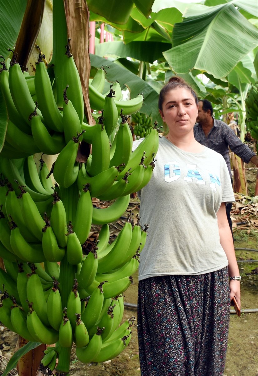 Girişimci Kadın, Devlet Desteğiyle Muz Üreticisi Oldu