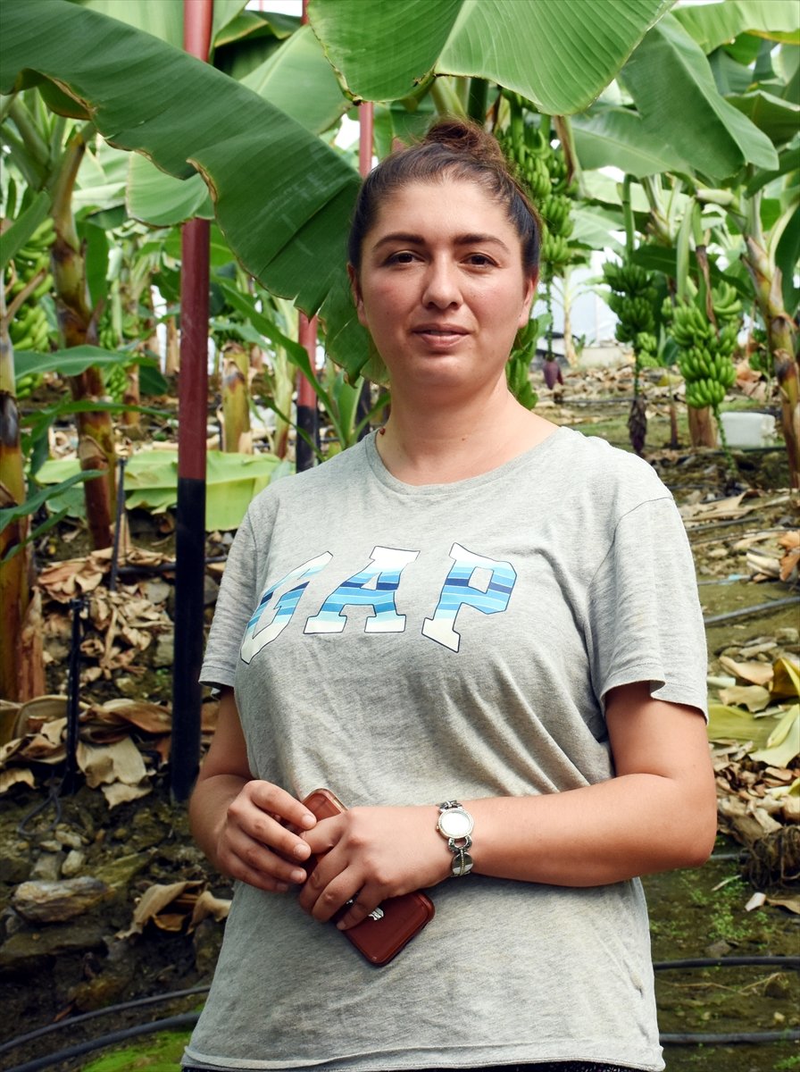 Girişimci Kadın, Devlet Desteğiyle Muz Üreticisi Oldu