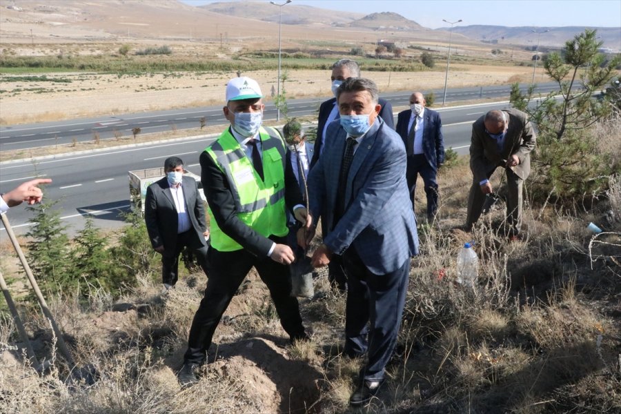 Ktb Ve Kayema İşbirliğiyle Hatıra Ormanı Oluşturuldu