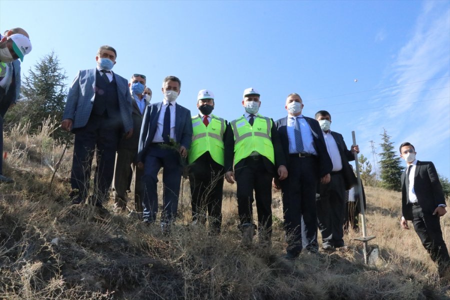 Ktb Ve Kayema İşbirliğiyle Hatıra Ormanı Oluşturuldu