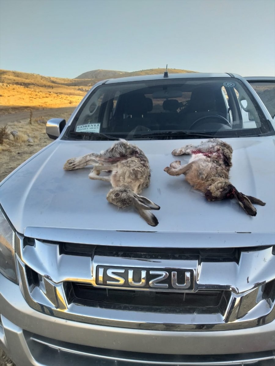 Karaman'da Kaçak Avcılara Ceza