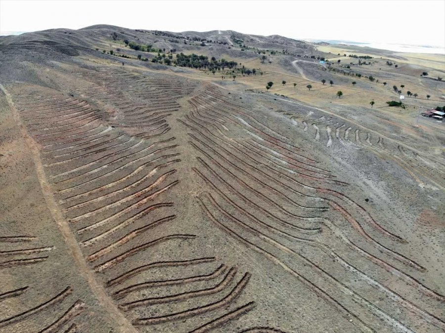 Eskişehir Ve Afyonkarahisar'da 119 Bin Fidan Toprakla Buluşturulacak