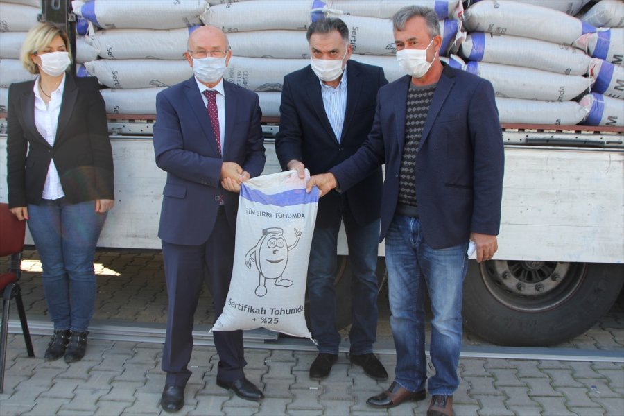 Serik'te Çiftçilere 25 Ton Fiğ Tohumu Dağıtıldı