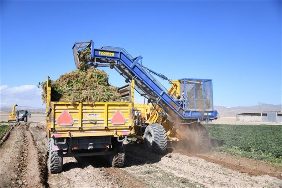 Kayseri, Sertifikalı Çilek Fidesi Üretiminde İddialı