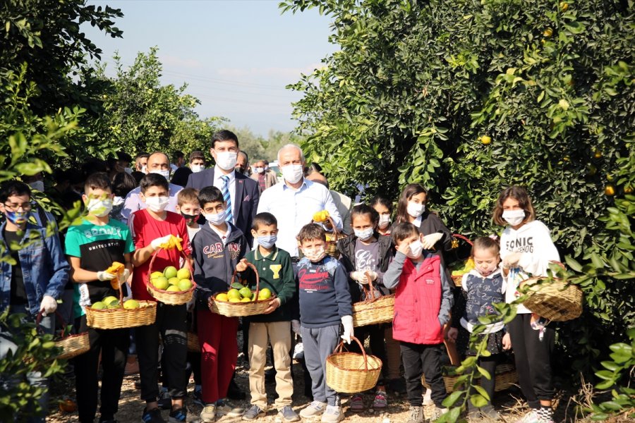 Mersin'de Çocukların Topladığı Narinceler İzmir'e Gönderilecek