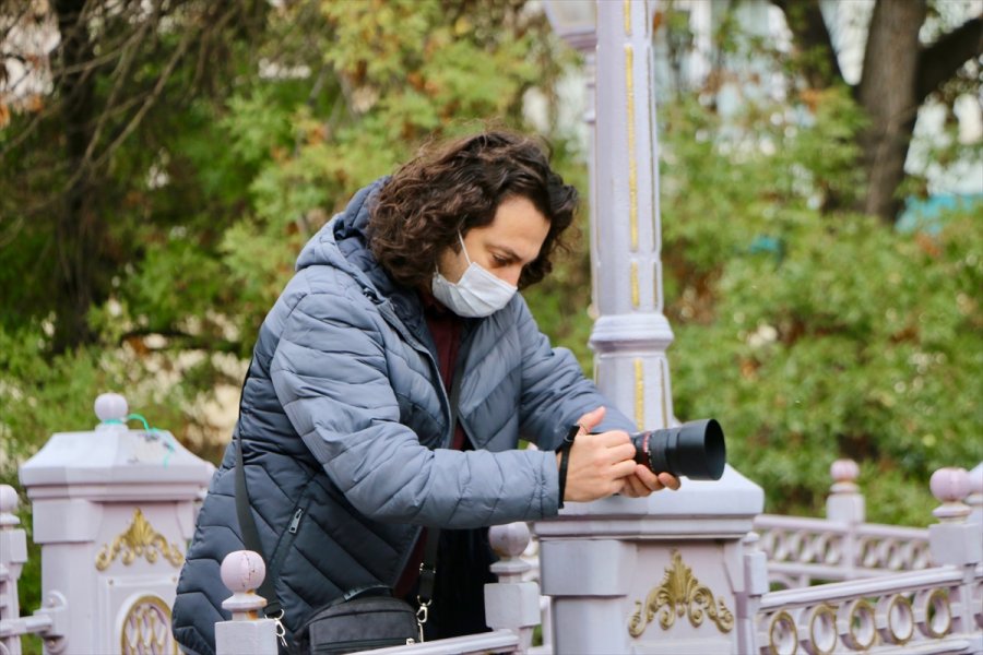 Pandemide Evden Çıkmayan Akademisyenin Çektiği Kısa Film Festivallerde İlgi Görüyor