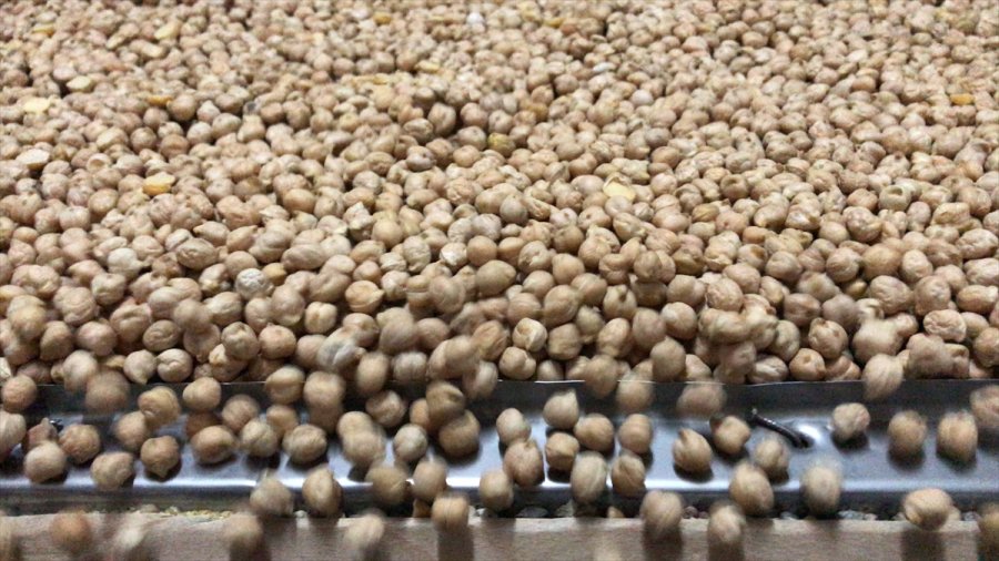 Nohuttan Üretilen Cips, Çocuklara Bakliyatı Sevdirecek