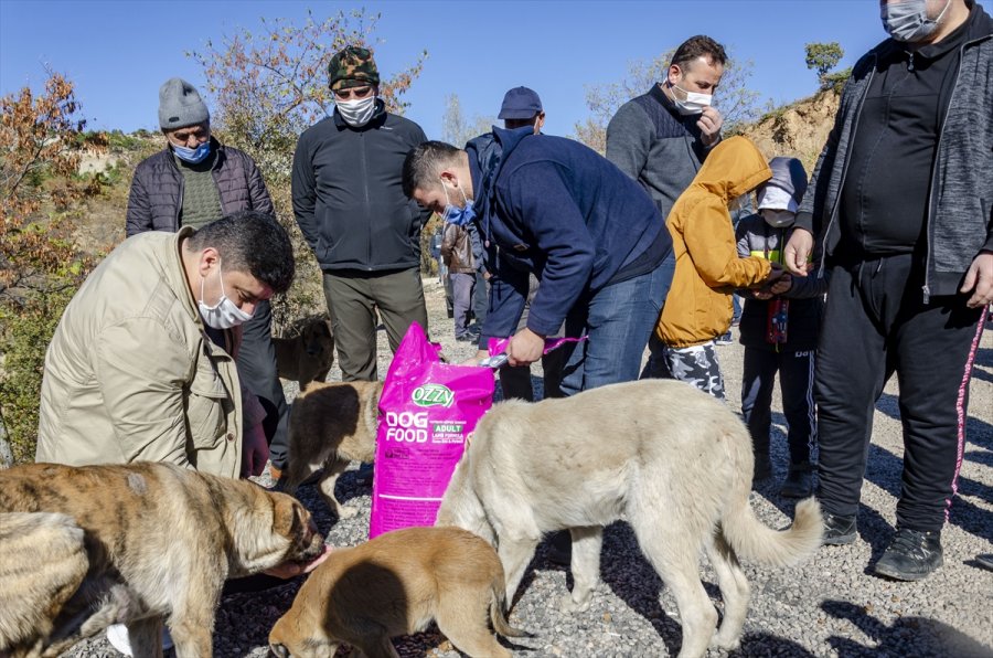 Kahramankazan'da Sağlıklı Yaşam Yürüyüşü Gerçekleştirildi