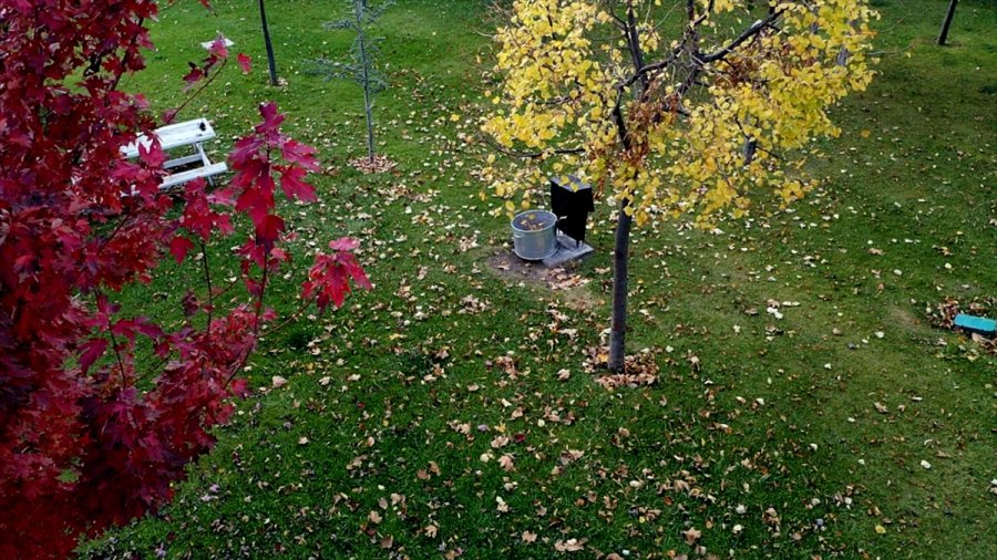 Konya'nın Parkları Sonbahar Görüntüsüyle Büyülüyor