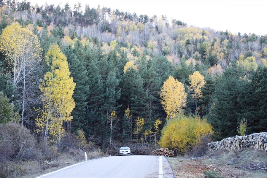 Çubuk Karagöl Sonbaharda Ziyaretçi Akınına Uğruyor